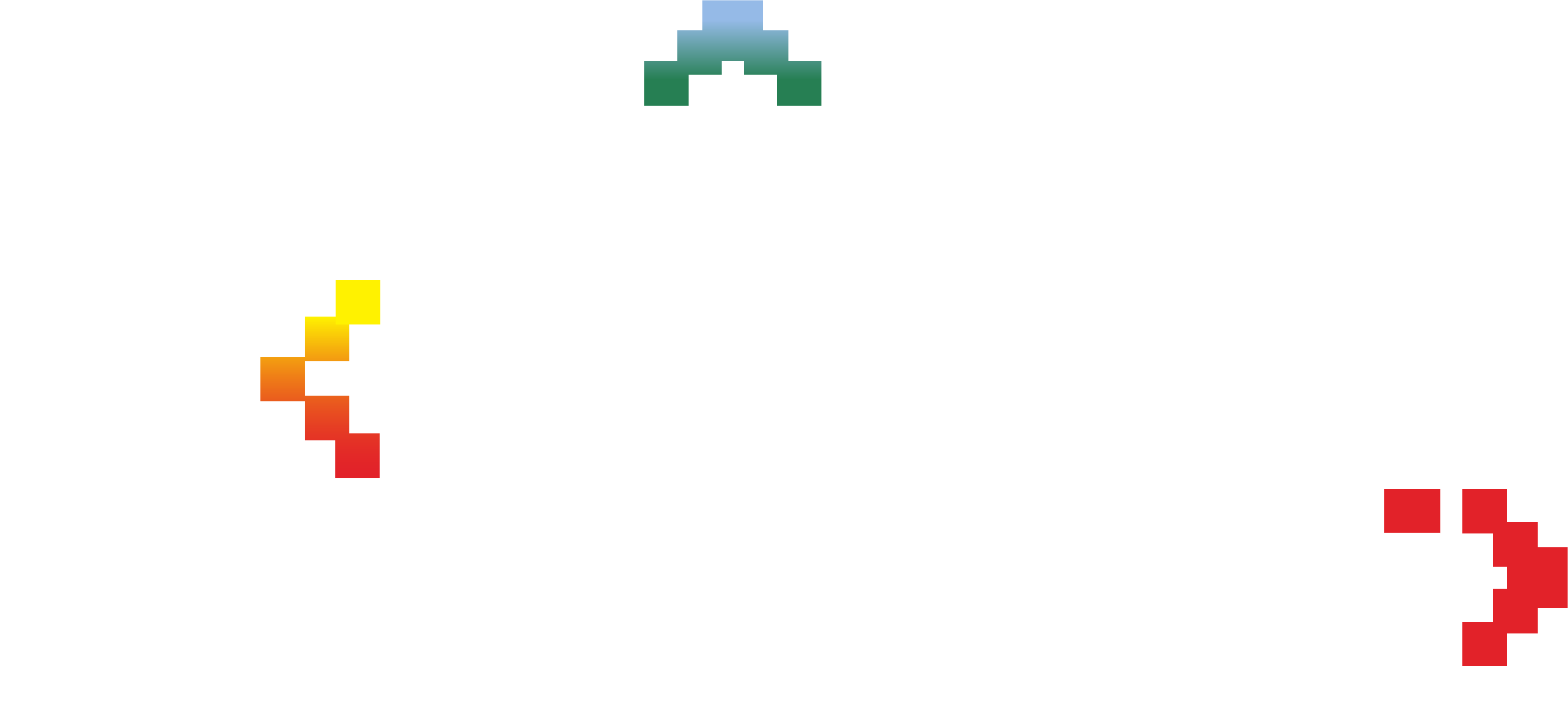 Digital Skill Roadmap